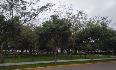 🏡 Venta de departamento frente a parque – Boulevard de Surco