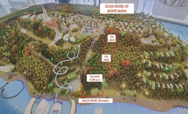 1.9-ha Lot in Batangas