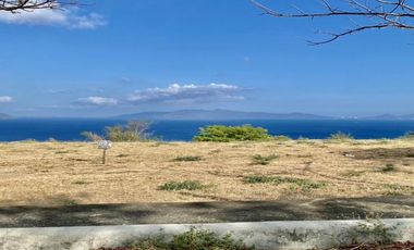 1.9-ha Lot in Batangas