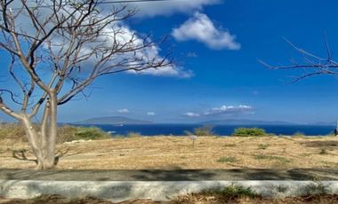 1.9-ha Lot in Batangas