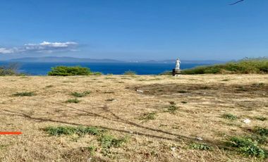 1.9-ha Lot in Batangas