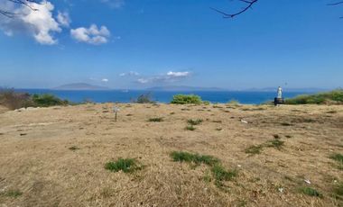 1.9-ha Lot in Batangas