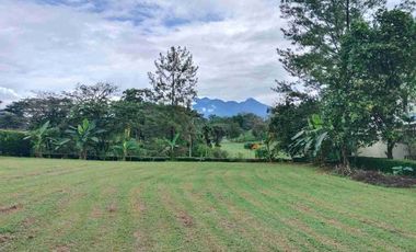 Kavling Nempel Lapangan Golf dan View Gunung di Rancamaya Bogor