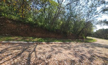 Gladiola 44 un Nivel con Alberca, Jacuzzi y Amplio Jardín, Muy Cerca del Acceso, con Diseño Único.