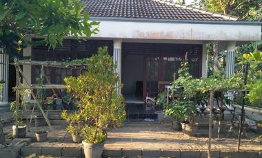 Jual Rumah Luas di Jalan Solo-Jogja 1 Menit Pasar Taji Klaten