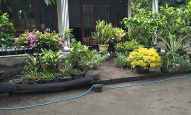 Jual Rumah Luas di Jalan Solo-Jogja 1 Menit Pasar Taji Klaten