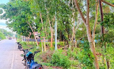 2608 sqm Lot For Lease- Bolod Panglao Island, Bohol