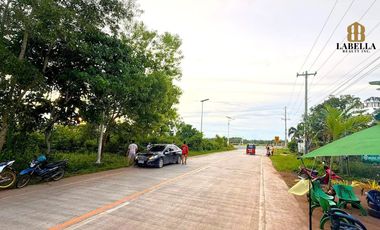 2608 sqm Lot For Lease- Bolod Panglao Island, Bohol