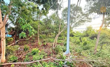 2608 sqm Lot For Lease- Bolod Panglao Island, Bohol