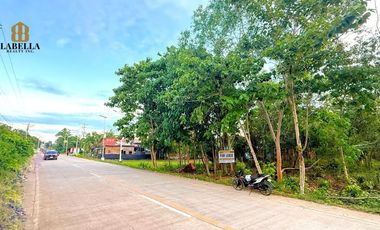 2608 sqm Lot For Lease- Bolod Panglao Island, Bohol