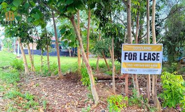 2608 sqm Lot For Lease- Bolod Panglao Island, Bohol