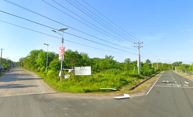 2608 sqm Lot For Lease- Bolod Panglao Island, Bohol