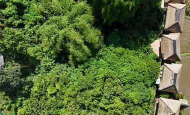 Land For Lease In Central Ubud