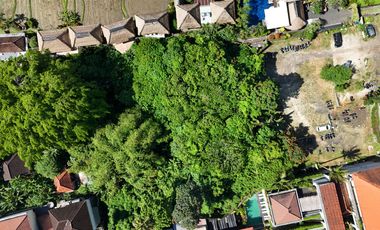 Land For Lease In Central Ubud