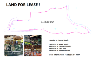 Land For Lease In Central Ubud