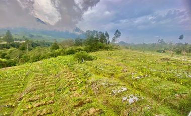 Tanah Cocok Untuk Glamping di Dikaki Gunung Sindoro