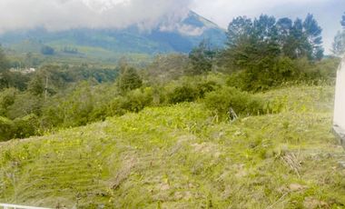 Tanah Cocok Untuk Glamping di Dikaki Gunung Sindoro