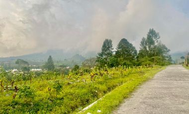 Tanah Cocok Untuk Glamping di Dikaki Gunung Sindoro