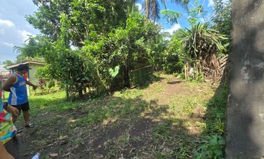 Residential Farm Haven in Mendez, Cavite | 6,626 sqm Lot for Sale