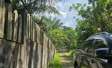 Residential Farm Haven in Mendez, Cavite | 6,626 sqm Lot for Sale