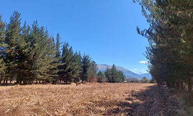 VENTA DE FUNDO EN CUSCO, ANTA