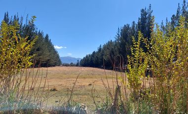 VENTA DE FUNDO EN CUSCO, ANTA