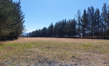 VENTA DE FUNDO EN CUSCO, ANTA