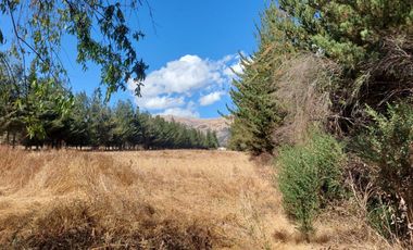 VENTA DE FUNDO EN CUSCO, ANTA