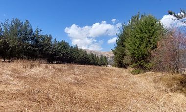 VENTA DE FUNDO EN CUSCO, ANTA