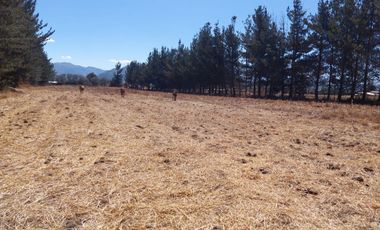 VENTA DE FUNDO EN CUSCO, ANTA