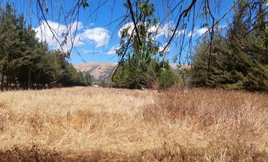 VENTA DE FUNDO EN CUSCO, ANTA
