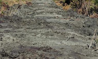 Parcelas Borde Rio Huicha 5000 M2, Roles Independientes, Ancud, Los Lagos