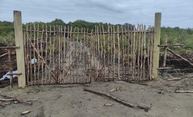 Parcelas Borde Rio Huicha 5000 M2, Roles Independientes, Ancud, Los Lagos