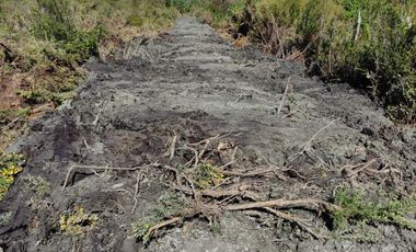 Parcelas Borde Rio Huicha 5000 M2, Roles Independientes, Ancud, Los Lagos