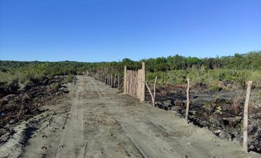 Parcelas Borde Rio Huicha 5000 M2, Roles Independientes, Ancud, Los Lagos