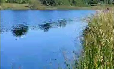 Parcelas Borde Rio Huicha 5000 M2, Roles Independientes, Ancud, Los Lagos