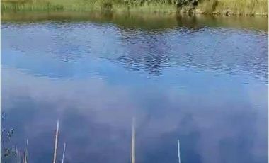 Parcelas Borde Rio Huicha 5000 M2, Roles Independientes, Ancud, Los Lagos