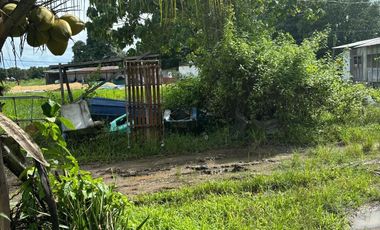 𝐋𝐎𝐓 𝐅𝐎𝐑 𝐒𝐀𝐋𝐄 – 𝐏𝐔𝐍𝐓𝐀, 𝐃𝐈𝐏𝐎𝐋𝐎𝐆 𝐂𝐈𝐓𝐘