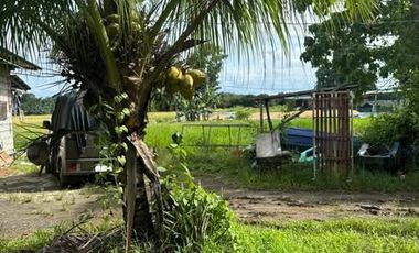 𝐋𝐎𝐓 𝐅𝐎𝐑 𝐒𝐀𝐋𝐄 – 𝐏𝐔𝐍𝐓𝐀, 𝐃𝐈𝐏𝐎𝐋𝐎𝐆 𝐂𝐈𝐓𝐘