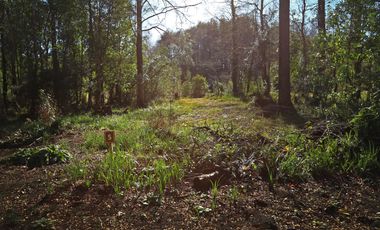 PARCELA AL ARRAYAN SECTOR PEDROGOSO