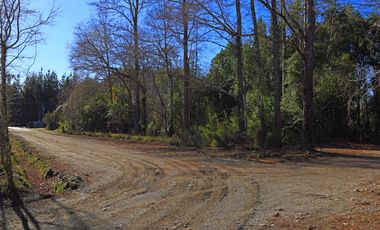 PARCELA AL ARRAYAN SECTOR PEDROGOSO