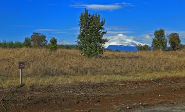 PARCELA AL ARRAYAN SECTOR PEDROGOSO