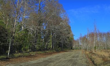 PARCELA AL ARRAYAN SECTOR PEDROGOSO