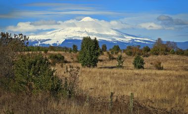 PARCELA AL ARRAYAN SECTOR PEDROGOSO