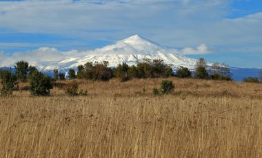 PARCELA AL ARRAYAN SECTOR PEDROGOSO
