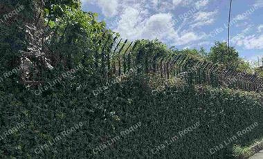 Commercial Lot For Sale