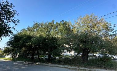 Renta de terreno, centro de Allende N.L