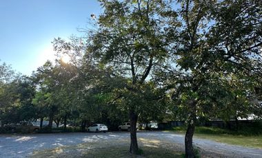 Renta de terreno, centro de Allende N.L
