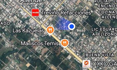 Renta de terreno, centro de Allende N.L