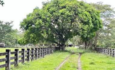 LOTE EN VENTA VIA PUERTO LOPEZ VILLAVICENCIO